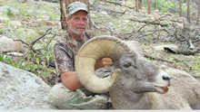 2013 Big Horn Sheep