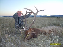 2014 Elk