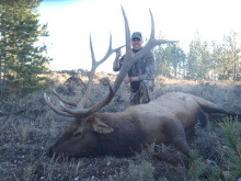 2014 Elk