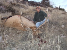 2014 Elk