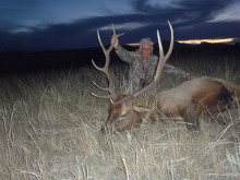 2014 Elk