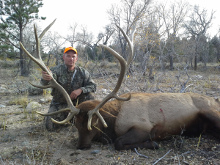 2014 Elk