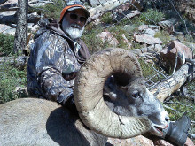 2014 Big Horn Sheep