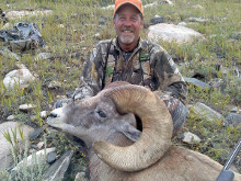 2014 Big Horn Sheep