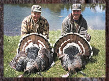 Click here to learn more about our turkey hunts.