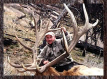 Click here to learn more about our elk hunts.
