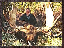Click here to learn more about our moose hunts.